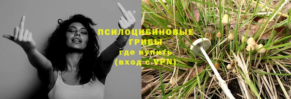 стафф Балабаново
