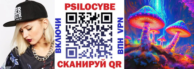 ОМГ ОМГ ССЫЛКА  наркотики  Олонец  Псилоцибиновые грибы мицелий 
